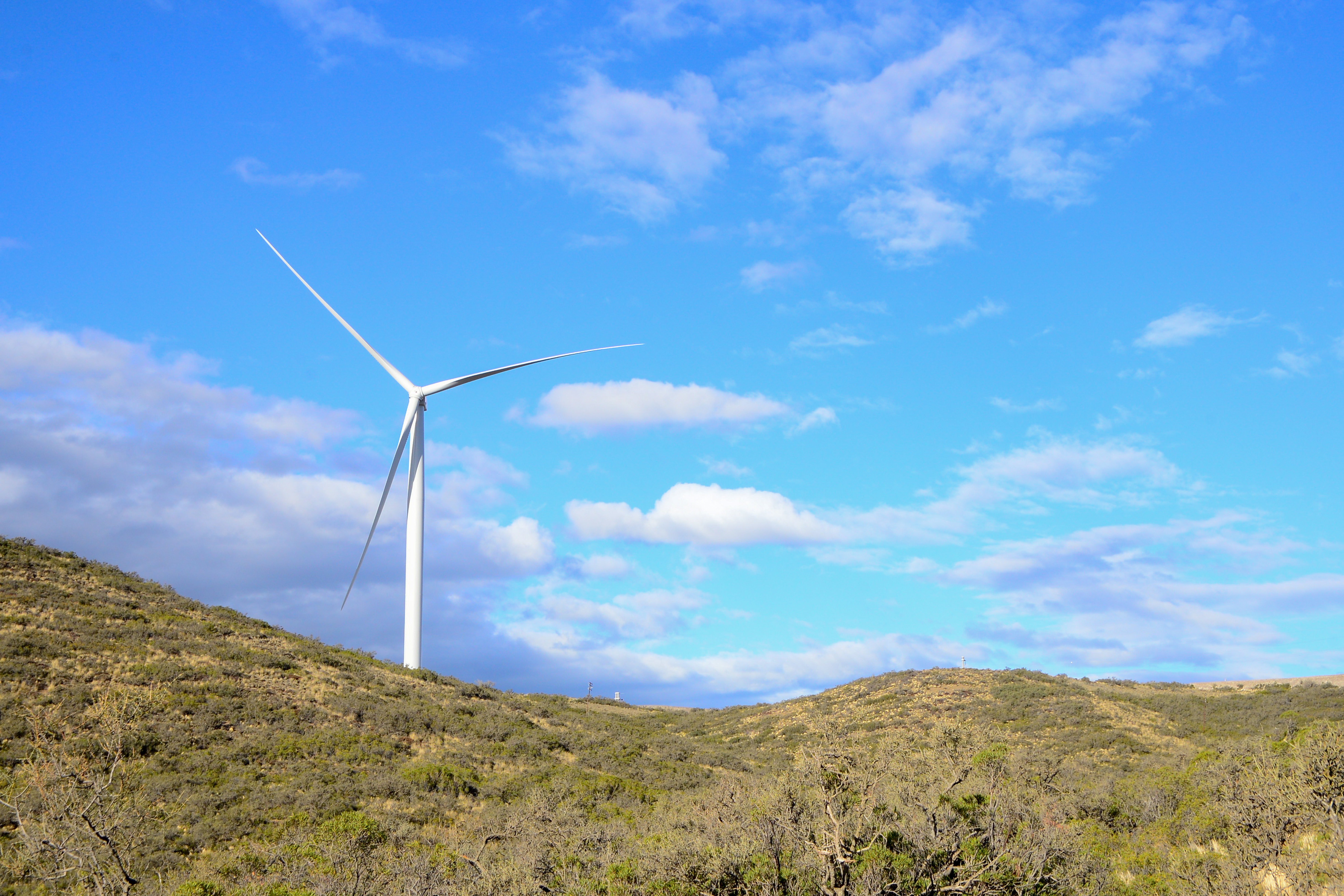 Cañadón León Wind Farm